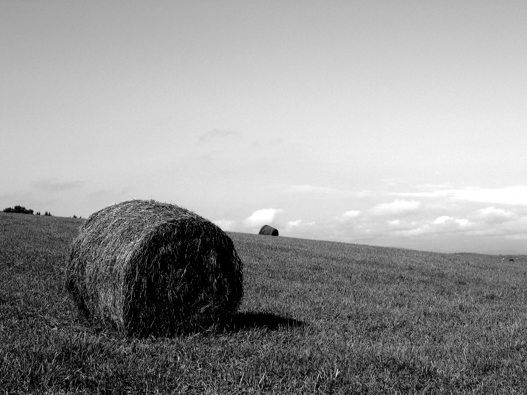 project Builder Images